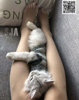 影视大全网站_蓝光免费观看韩国