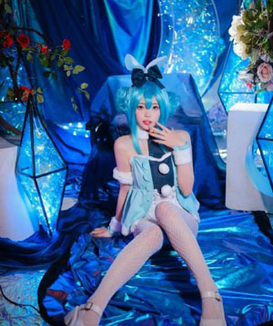 白莲花渡度假村_电视剧高清在线观看